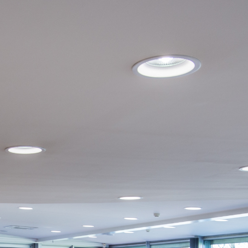 Welke lichtkleur is geschikt voor mijn bedrijfsruimte - Firefly