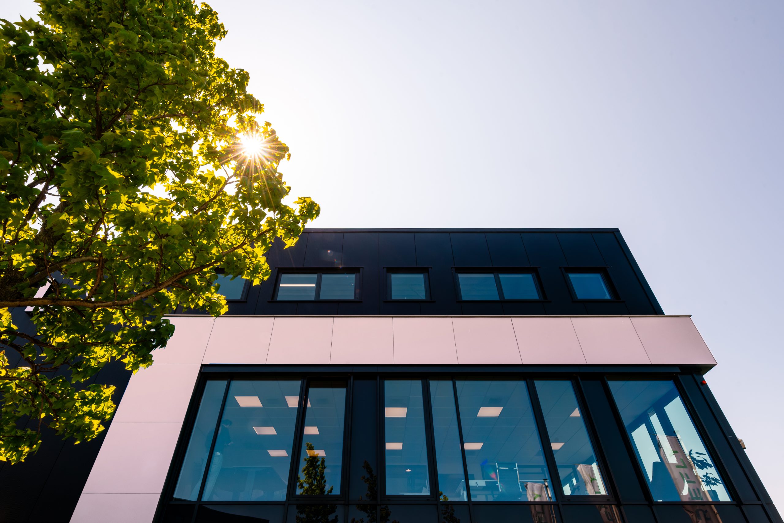 Firefly - slimme ledverlichting voor bedrijven